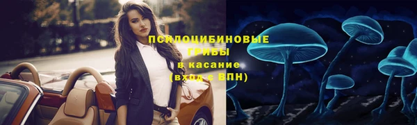 ГАЛЛЮЦИНОГЕННЫЕ ГРИБЫ Арсеньев